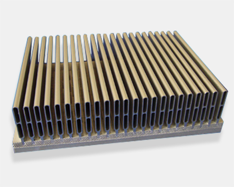 ��Ƭɢ����3